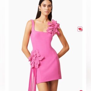 Elliatt Fuchsia Mini Dress with Floral Details